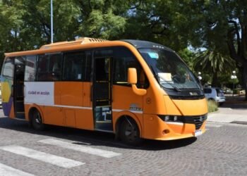 Paro municipal: ¿cómo funcionarán los servicios públicos?