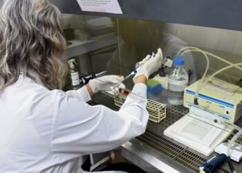 La Encefalitis Equina del Oeste se podrá detectar en laboratorios públicos de la Provincia