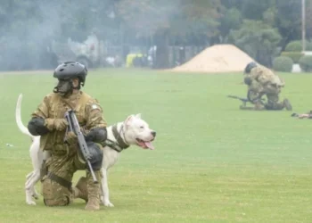 Oficializan los nuevos haberes mensuales de personal militar de Fuerzas Armadas, Policía Naval y Servicio Penitenciario