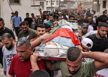 Ya son cerca de 29.000 los palestinos muertos en Gaza