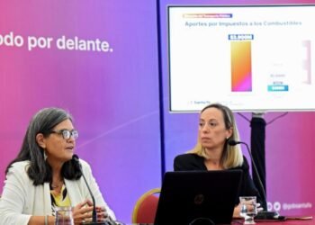 Ghilotti: “La quita de subsidios al transporte aumenta la desigualdad”