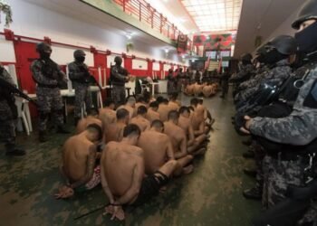 “Cada vez la van a pasar peor”: la advertencia del gobierno de Santa Fe a los narcos