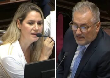 Losada y Lewandowski se cruzaron en el Senado por la violencia en Rosario