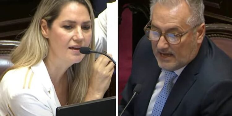 Losada y Lewandowski se cruzaron en el Senado por la violencia en Rosario