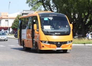 Tramitá tu Boleto Educativo Gratuito para el año 2024