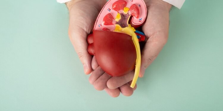 Concientización por el Día mundial del Riñón