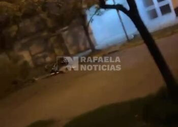 Pudo ser tragedia: tremendo golpe de una motociclista tras la caída de una rama de árbol