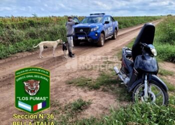 Los Pumas infraccionaron a cuatro hombres por cazar sin licencia en caminos públicos
