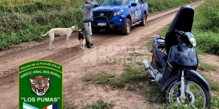 Los Pumas infraccionaron a cuatro hombres por cazar sin licencia en caminos públicos