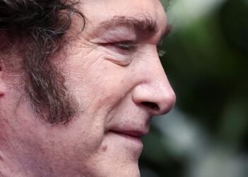 Milei posterga la factura impaga de luz y gas que le dejó Fernández