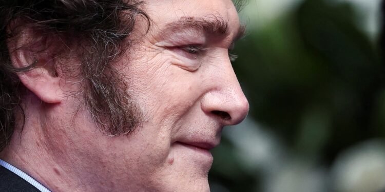 Milei posterga la factura impaga de luz y gas que le dejó Fernández