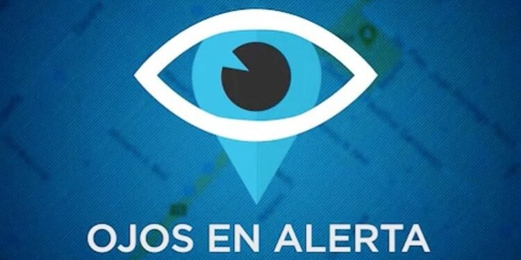 Una denuncia de Ojos en Alerta terminó con un detenido