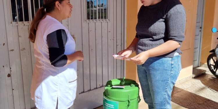 Acciones realizadas por el mes del compostaje