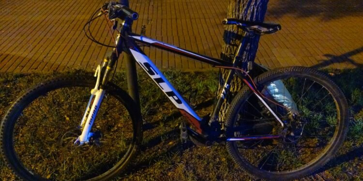 El Centro de Monitoreo permitió recuperar una bicicleta