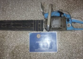 «Para poder tener algo de plata»: la policía secuestró una motosierra a un joven