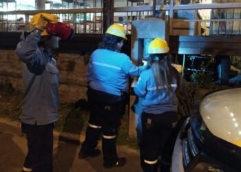 EPE detectó robo de energía por más de $ 77 millones