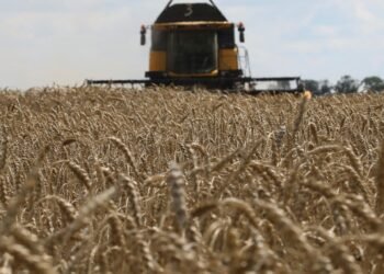 Saldo positivo en el intercambio comercial con Brasil durante abril