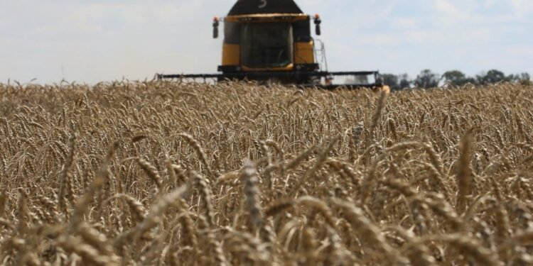 Saldo positivo en el intercambio comercial con Brasil durante abril