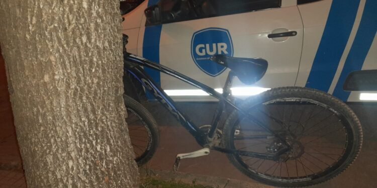 Trabajo articulado permitió la detención de dos individuos