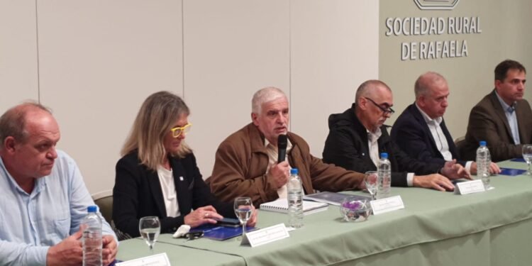 Chicharrita: Provincia trabaja en una mesa política y técnica nacional para mitigar la plaga en el maíz