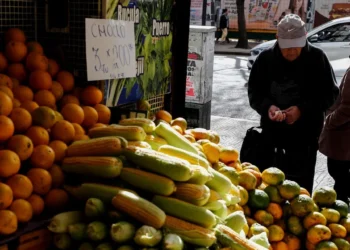 Una consultora midió 0 % de inflación para los alimentos en la tercera semana de junio y Milei lo festejó