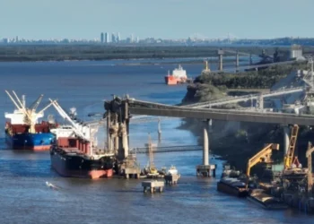 Los dólares del campo se demoran La agroindustria liquidó 37% menos exportaciones que en mayo de 2023