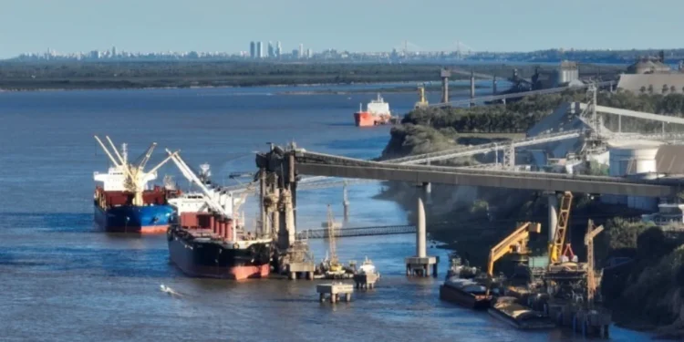 Los dólares del campo se demoran La agroindustria liquidó 37% menos exportaciones que en mayo de 2023