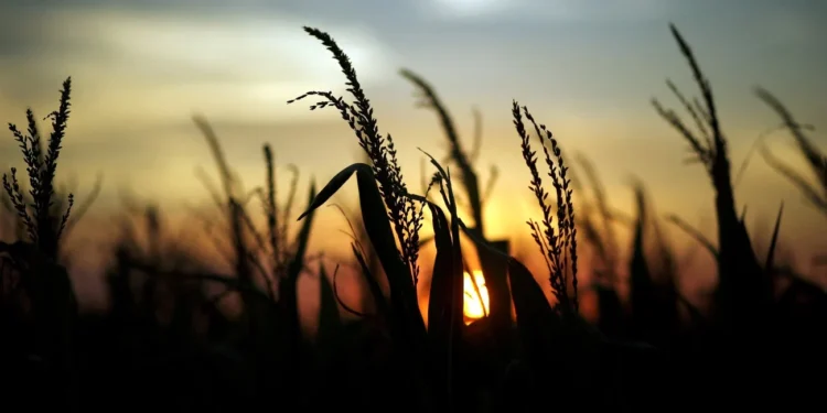 Según el Banco Mundial La Argentina perdería hasta 4 % de su PBI sin resiliencia al cambio climático en la cadena agroindustrial