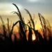 Según el Banco Mundial La Argentina perdería hasta 4 % de su PBI sin resiliencia al cambio climático en la cadena agroindustrial