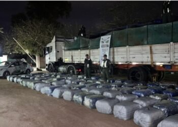 Quedó preso un camionero que llevaba hojas de coca suficientes para procesar 12 kilos de cocaína