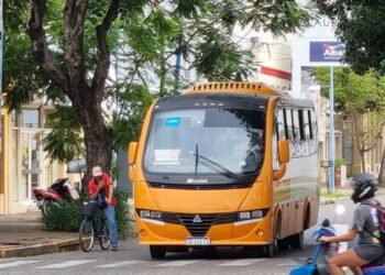 Cómo funcionarán los servicios municipales en el feriado largo