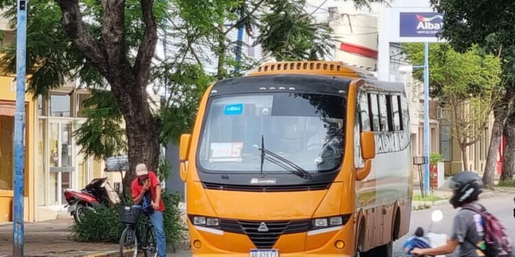 Cómo funcionarán los servicios municipales en el feriado largo