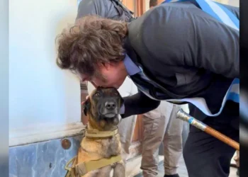 Diputados comienza a tratar la «Ley Conan» y posterga los temas educativos para agosto