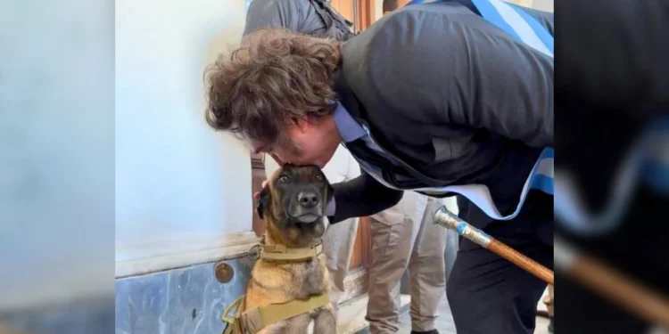 Diputados comienza a tratar la «Ley Conan» y posterga los temas educativos para agosto