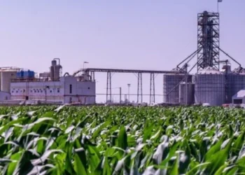 Productores de biocombustibles desmienten a las petroleras sobre el precio de las naftas y el diésel