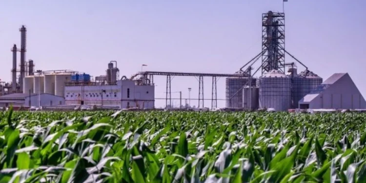 Productores de biocombustibles desmienten a las petroleras sobre el precio de las naftas y el diésel