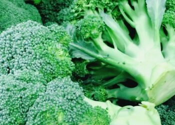 Los enemigos porteños para el objetivo excluyente de Javier Milei