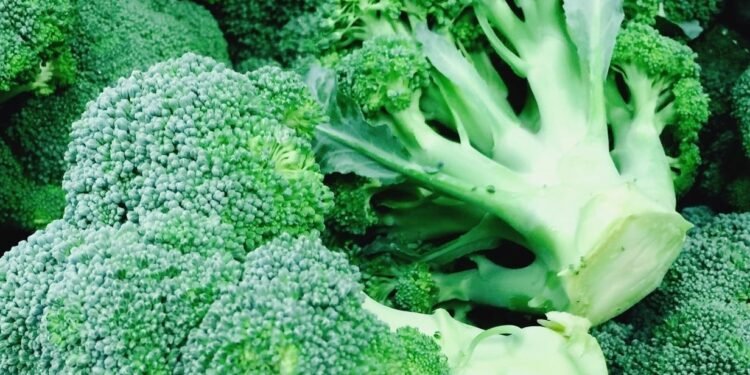 Los enemigos porteños para el objetivo excluyente de Javier Milei