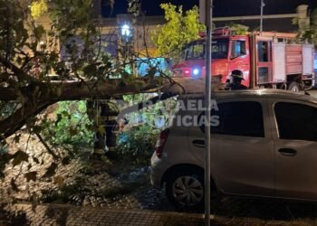 El Municipio debe hacerse cargo de cubrir siniestros tras la inhibición de una aseguradora