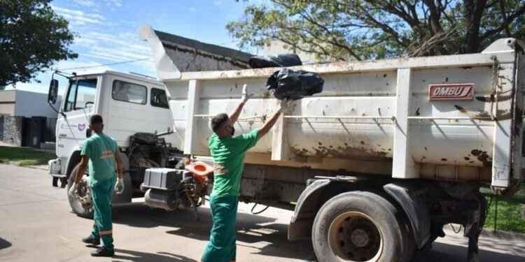 Recolección de residuos de patio en el sector 4