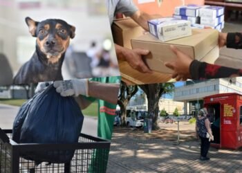 ¿Cómo funcionarán los servicios municipales esta semana?
