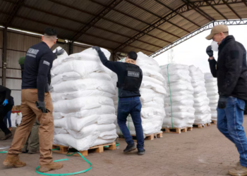 «Operativo dulzura» en Paraguay: decomisaron 4 toneladas de cocaína en la ruta de la hidrovía