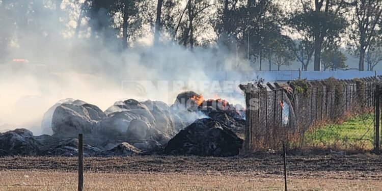 Humo, otra vez, por el incendio de rollos en el norte de la ciudad