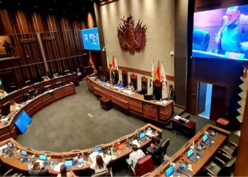 Bolivia suspendió las elecciones legislativas y hay enojo en el espacio de Evo Morales