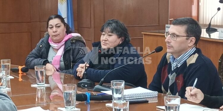 Lo que dijo Ramona Ramallo en el Concejo: «llega el momento en que flaqueás y querés irte»