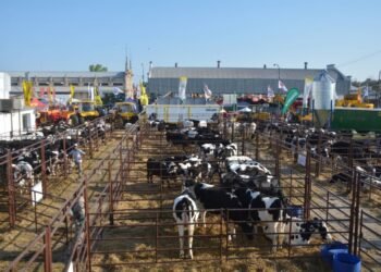 Se encuentra abierta la convocatoria para participar en la 117º Expo Rural de Rafaela