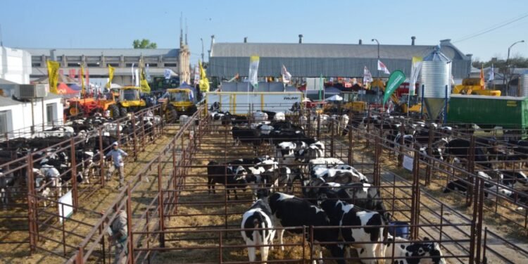 Se encuentra abierta la convocatoria para participar en la 117º Expo Rural de Rafaela