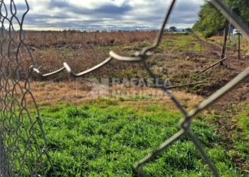 Otra vez volvieron a vandalizar el predio de ATILRA