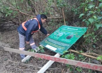 Vandalizaron el Bosquecito Besaccia