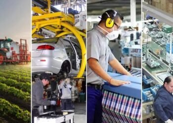 Reducción del impuesto PAIS: ¿Cómo impactará en los diferentes sectores de la economía?